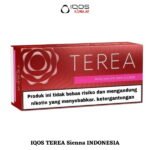 IQOS TEREA Sienna INDONESIA ILUMA DUBAI In Abu Dhabi UAE