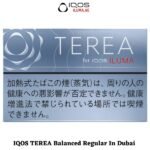 TEREA Balanced Regular For IQOS ILUMA In Abu Dhabi, UAE