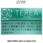 TEREA Mint For IQOS ILUMA In Dubai, Sharjah, UAE