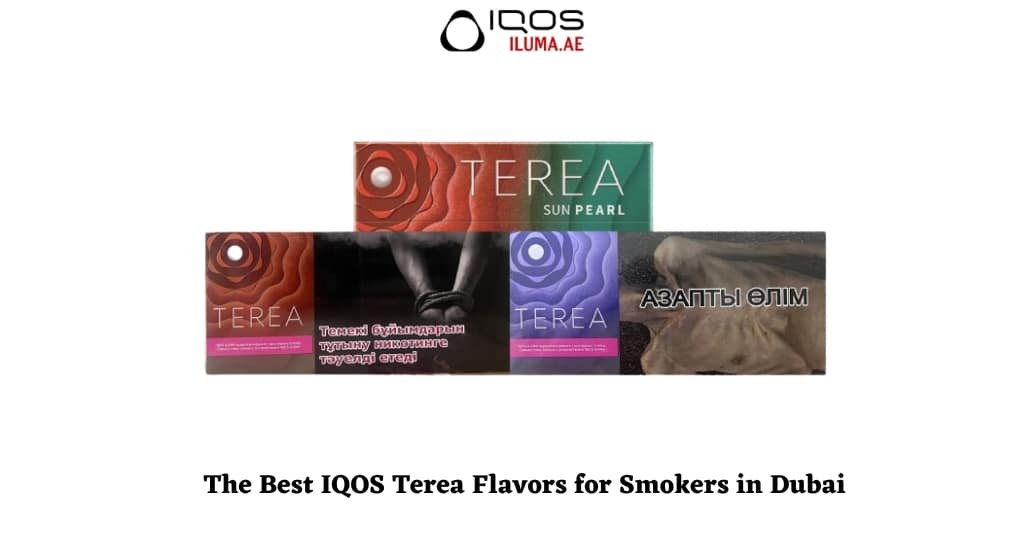 The Best IQOS Terea Flavors for Smokers in Dubai