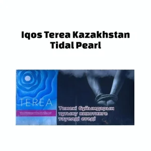 IQOS TEREA Tidal Pearl Uzbekistan UAE | Iqosiluma.ae